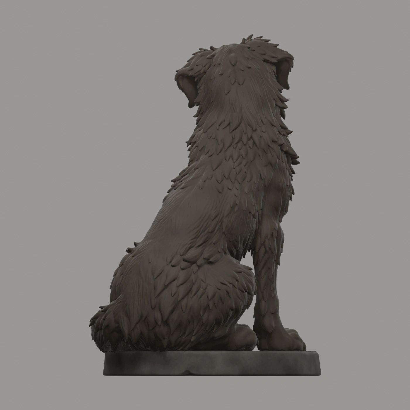 Dax · Wachhund · Ansicht 3