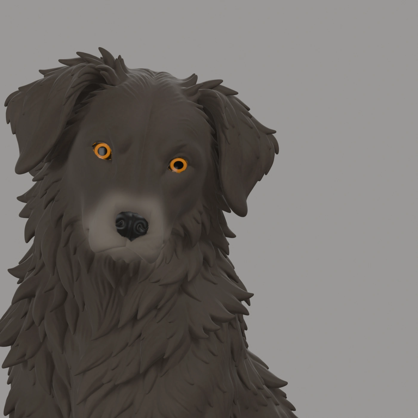 Dax · Wachhund · Ansicht 6