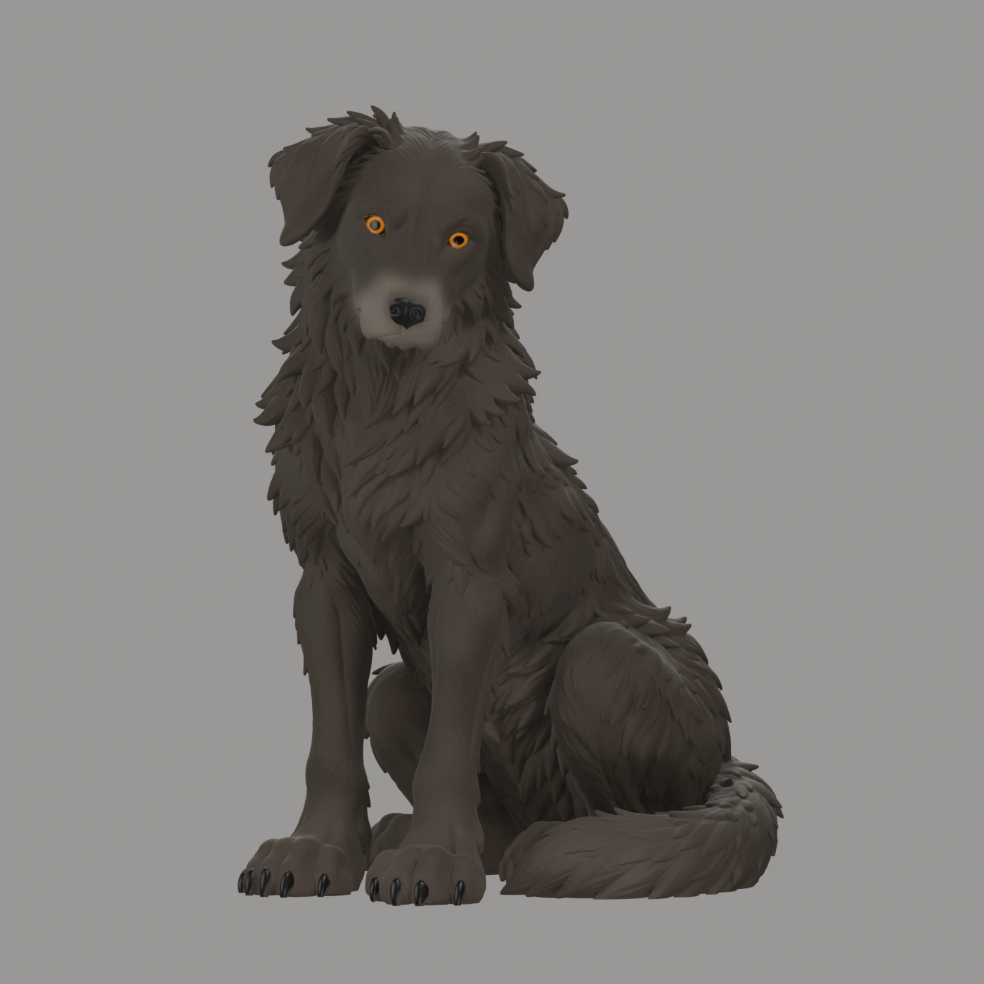 Dax · Wachhund · Ansicht 8