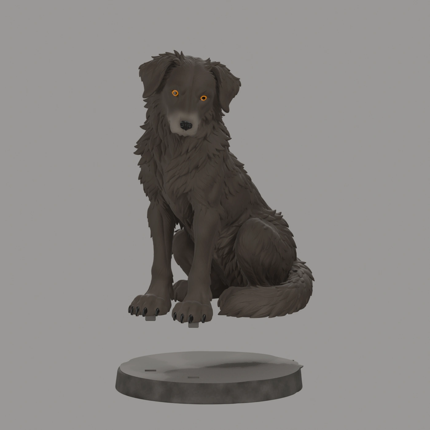 Dax · Wachhund · Ansicht 9