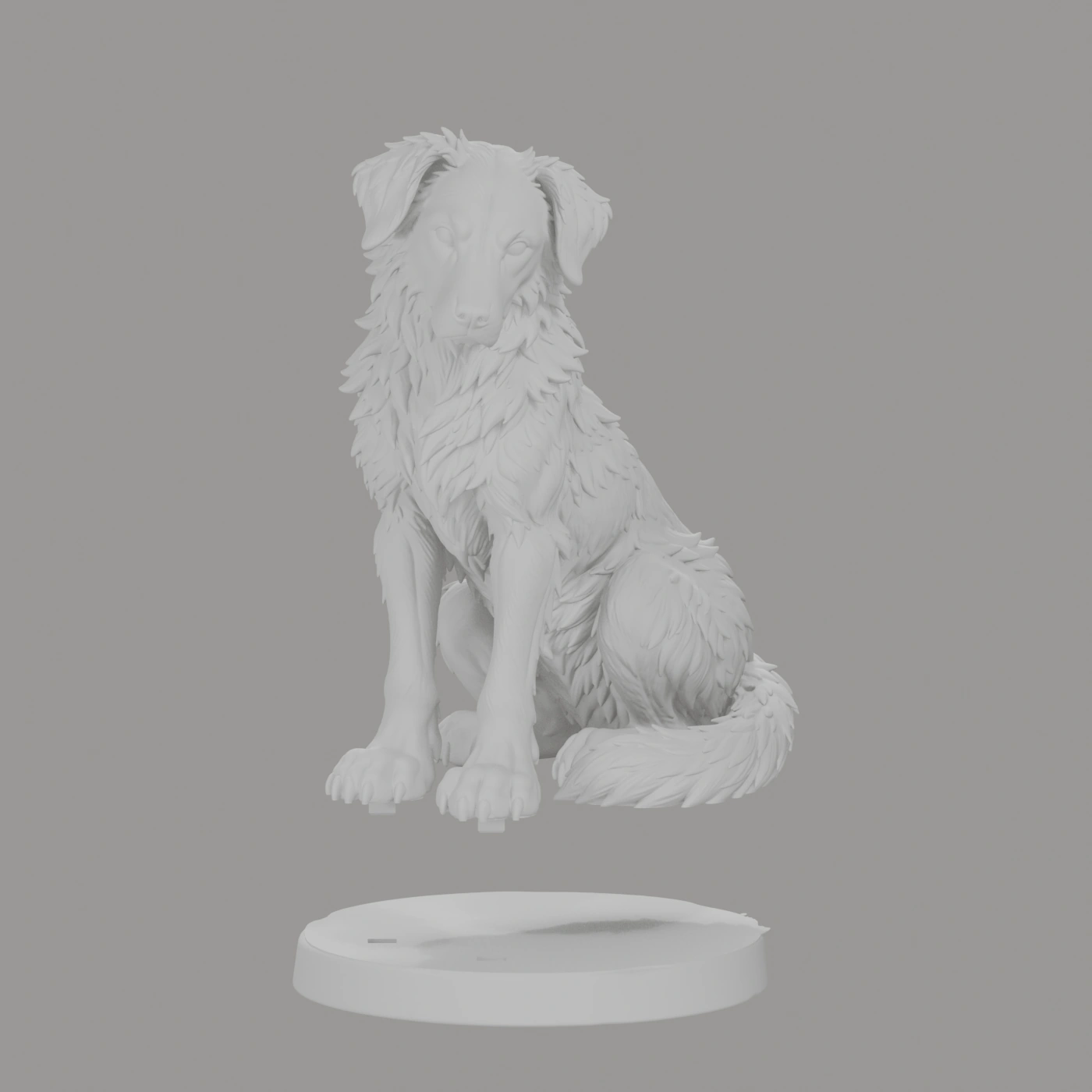 Dax · Wachhund · Ansicht 13